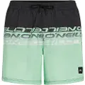 O'Neill Cali Stripe 16'' Boardshorts grønn