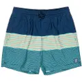 Billabong All Day Stripes Lb Kids Boardshorts blå