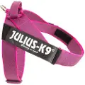 Julius-K9 Idc Norwegian Hundesele