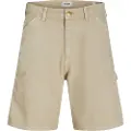 Jack & Jones Tony Carpenter Shorts