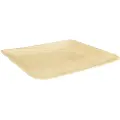 Papstar pure, Plate, firkant, Palmeblad, Monokromatisk, 25 stykker, DIN EN 13432