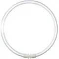 Patron T5 FC 40W/840 Circline Lumilux Cool White 2GX13
