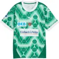 Puma Füchse Berlin 24/25 Home Jersey Youth, Clothing, Power Green/Fresh Mint, 4-5Y