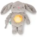 Ingenuity Sylvi Plush Soother