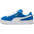 Puma Suede Xi Treningssko