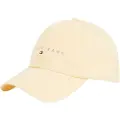 Tommy Hilfiger Linear Logo 6 Panel Cap