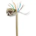 Gembird Fpc-6004-l/100 Cat6 Nettverkskabel 100 M