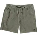 RVCA Escape Elastic Cord II Shorts grønn