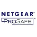 Netgear IPv6 and Multicast Routing License Upgrade - Lisens - for NETGEAR GSM7328FS