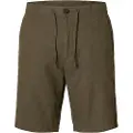 Selected Brody Regular Fit Shorts