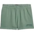 Superdry Athletic Tonal Embroidered Sports Shorts