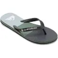 Quiksilver Molokai Flip-flops