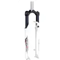 Rst Aerial Disc Qr 9x100 Mm Mtb-gaffel
