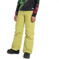 Burton Barnstorm 2l Bukser