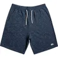 Quiksilver Bayrise Sports Shorts