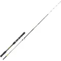Renzo Valdieri Zizari Jigging Stang
