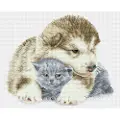 Diamond Dotz Squares 33 x 41 cm - Hund og kat