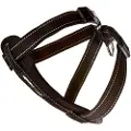 EzyDog Hunde Sele I Neopren