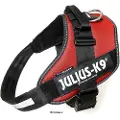 JULIUS K-9 Idc Power Hundesele