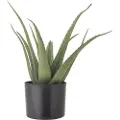 Bloomingville BloomingvilleAloe PlanteGrønnKunstige planter & blomsterFra Homeroom