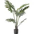Bloomingville BloomingvillePhilodendron PlanteGrønnKunstige planter & blomsterFra Homeroom