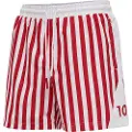 Hummel Dansk Boldspil-union 2020 Fan Shorts