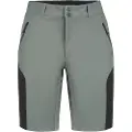 Icepeak Batavia Shorts