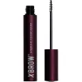 Xlash - Eyebrow Serum 3 ml