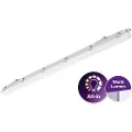 Philips Ledinaire Industriarmatur All-in IP65 WT065C LED 4100-6800lm/840 1-faset gennemfortrådning 1