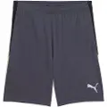 Puma Liga Shorts
