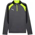 Puma individualLIGA Quarter-Zip Top Men, Sport, Galactic Gray/Yellow Alert, XL