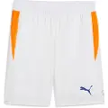 Puma INDIVIDUAL Padel Training Shorts Men, Clothing, White/Vivid Blue/Heat Fire, L
