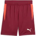 Puma Individual Training Shorts