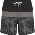 O'Neill Cali Block 15'' Boardshorts svart