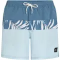 O'Neill Cali Block 15'' Boardshorts blå