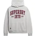 Superdry Ath Ess Relaxed Hettegenser