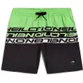 O'Neill Cali Stripe 14" Kids Boardshorts grønn