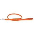 Collar Pet Leather Hundebånd