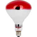 Philips Infrarød halogenpære Heat lamp BR125 150W Red Dimmable E27