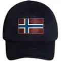 Napapijri Falis 2 Cap