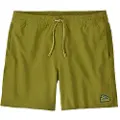 Patagonia Hydropeak Volley - 16 In. Shorts grønn