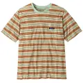 Patagonia Daily Pocket T-skjorte grønn