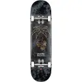 Globe G1 Natives 8.0" Komplette mønster