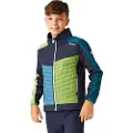 Regatta Brynden Softshelljakke