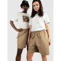 Nike SB Skyring Shorts brun