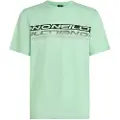 O'Neill Stripe Kortarmet T-skjorte