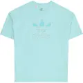 Adidas Originals Oversize Trefoil Kortarmet T-skjorte