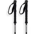 Arva Fuji 3 Parts Powerlock + Long Grip Spaserstokker
