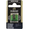 Taidepiste Watercolour Pan Permanent Green 662