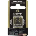 Taidepiste Watercolour Pan Greenish Umber 410
